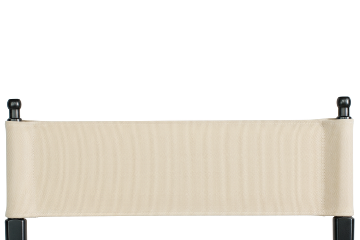 Customize Canvas Back Only